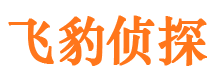 六安市侦探